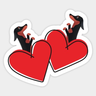 Dachshund Dog (Doxie) in Love Heart Sticker